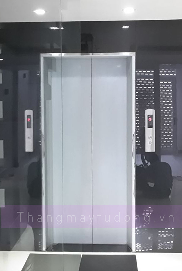 Kiểu cửa thang máy